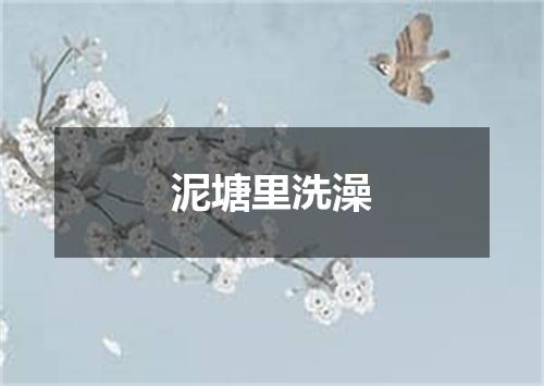 泥塘里洗澡