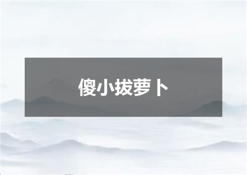 傻小拔萝卜