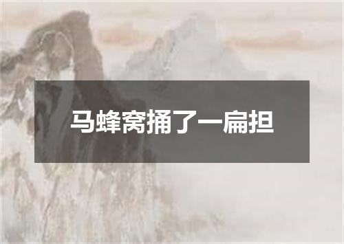 马蜂窝捅了一扁担
