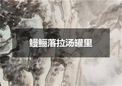 鳗鲡落拉汤罐里
