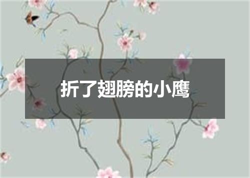 折了翅膀的小鹰