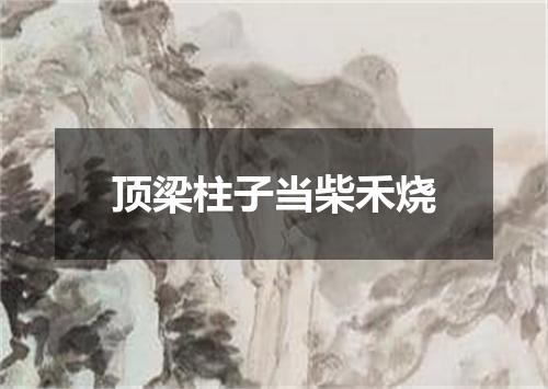 顶梁柱子当柴禾烧