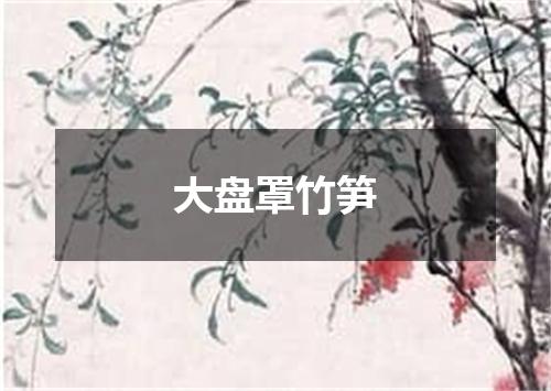 大盘罩竹笋