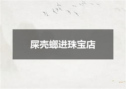 屎壳螂进珠宝店