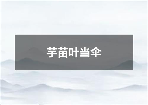 芋苗叶当伞