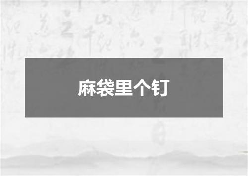 麻袋里个钉