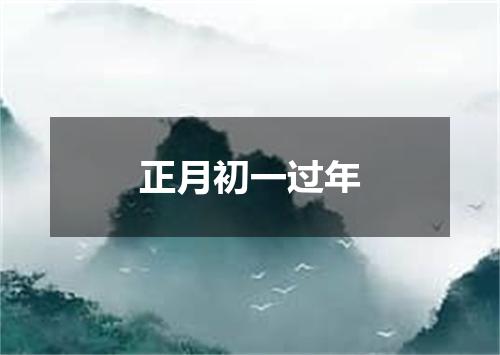 正月初一过年
