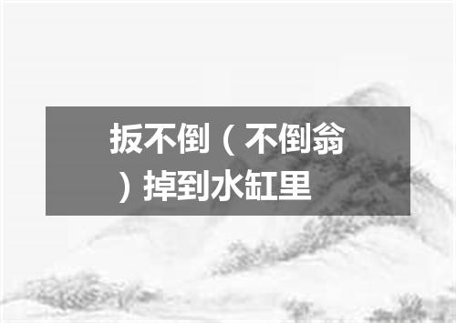 扳不倒（不倒翁）掉到水缸里