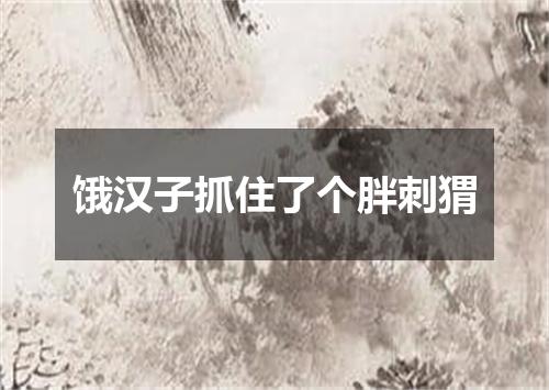 饿汉子抓住了个胖刺猬