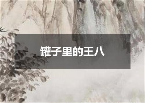 罐子里的王八