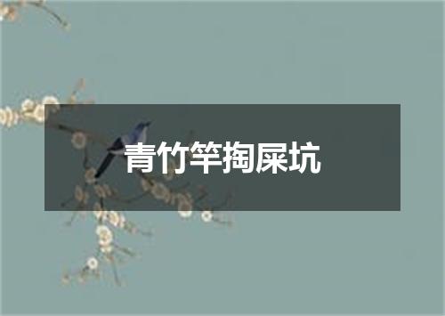 青竹竿掏屎坑