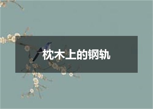 枕木上的钢轨