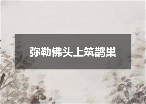 弥勒佛头上筑鹊巢