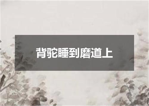 背驼睡到磨道上