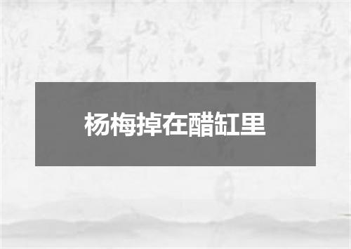 杨梅掉在醋缸里