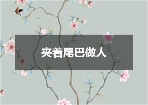 夹着尾巴做人