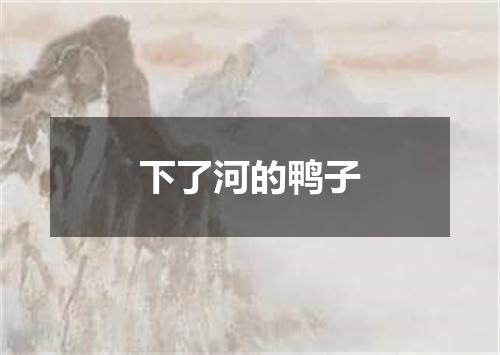 下了河的鸭子