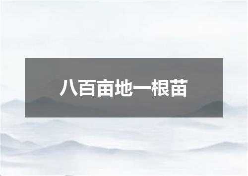 八百亩地一根苗