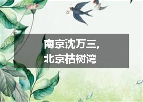 南京沈万三,北京枯树湾