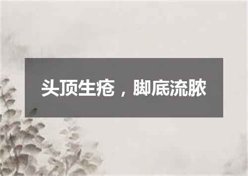 头顶生疮，脚底流脓