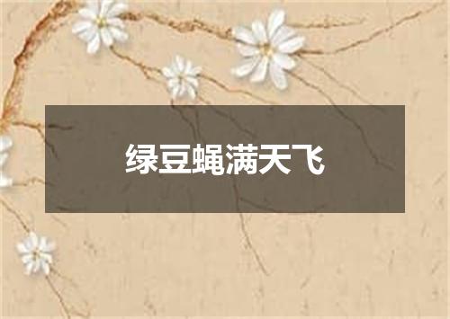 绿豆蝇满天飞