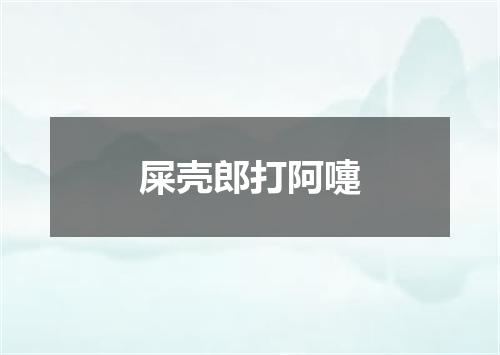 屎壳郎打阿嚏