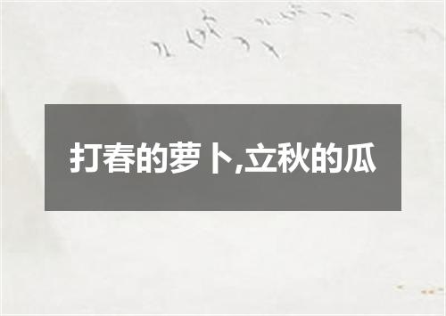 打春的萝卜,立秋的瓜