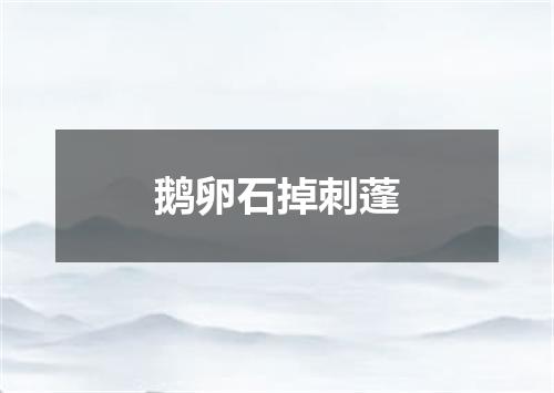 鹅卵石掉刺蓬