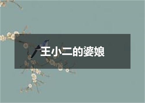 王小二的婆娘