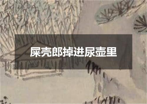 屎壳郎掉进尿壶里