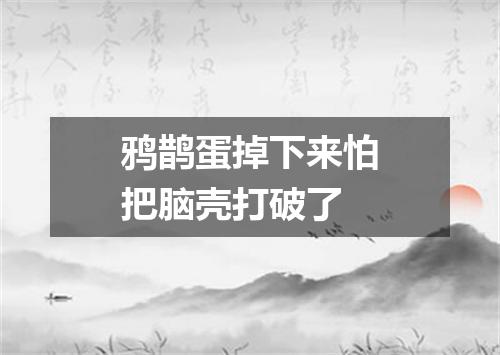 鸦鹊蛋掉下来怕把脑壳打破了