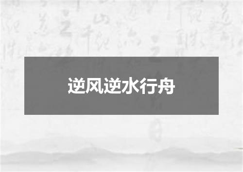 逆风逆水行舟