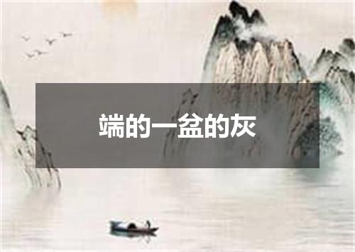 端的一盆的灰