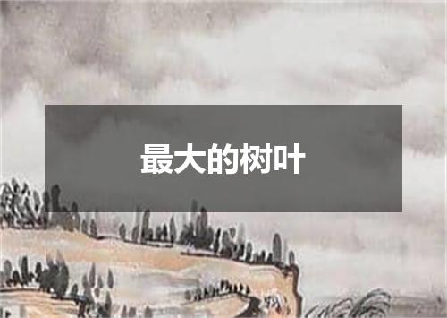 最大的树叶