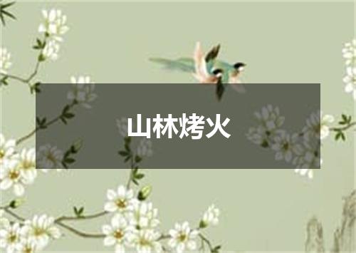 山林烤火