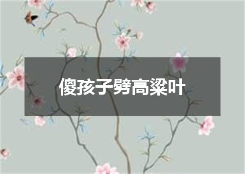 傻孩子劈高粱叶