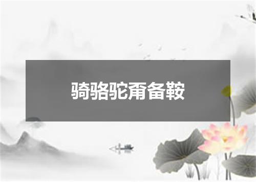 骑骆驼甭备鞍