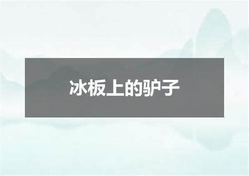 冰板上的驴子
