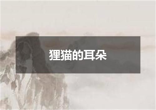 狸猫的耳朵