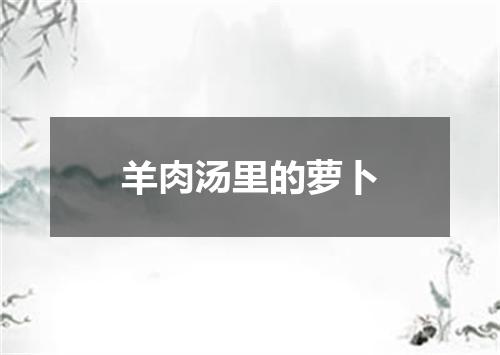 羊肉汤里的萝卜