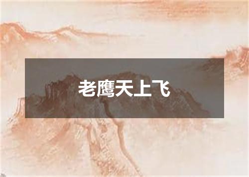 老鹰天上飞