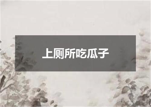 上厕所吃瓜子