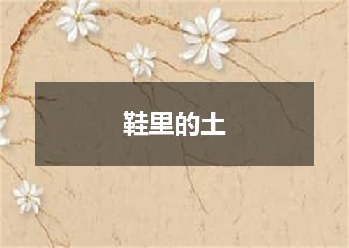 鞋里的土