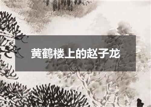 黄鹤楼上的赵子龙