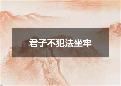君子不犯法坐牢