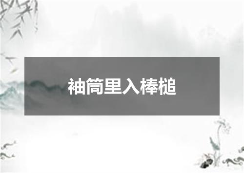 袖筒里入棒槌