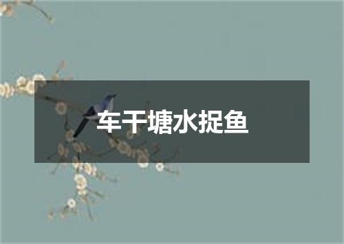 车干塘水捉鱼
