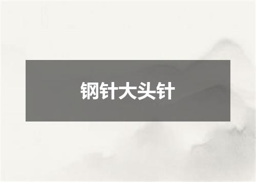 钢针大头针