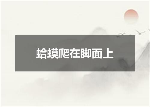 蛤蟆爬在脚面上