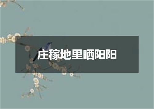 庄稼地里晒阳阳